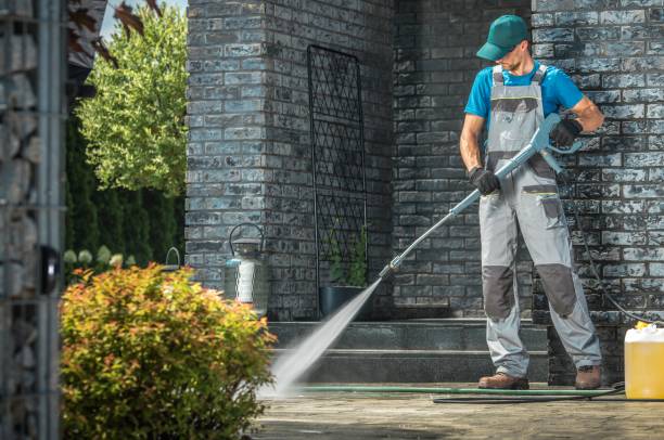 Best Gutter Cleaning  in French Mp, CA