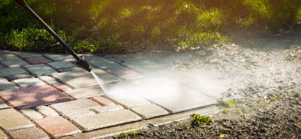 Best Dumpster Area Cleaning  in French Mp, CA